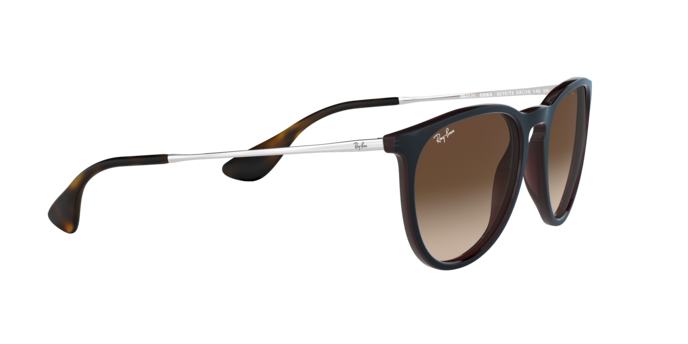 Ray-Ban ERIKA RB4171 631513