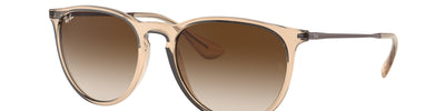 Ray-Ban ERIKA RB4171 651413