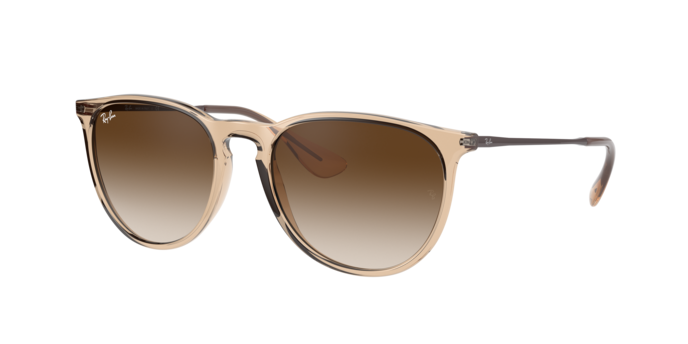Ray-Ban ERIKA RB4171 651413