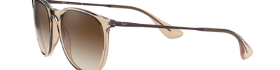 Ray-Ban ERIKA RB4171 651413