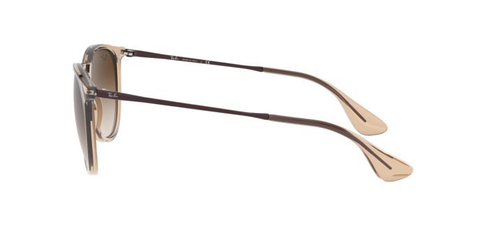 Ray-Ban ERIKA RB4171 651413