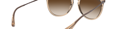 Ray-Ban ERIKA RB4171 651413