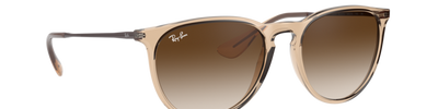 Ray-Ban ERIKA RB4171 651413