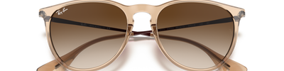 Ray-Ban ERIKA RB4171 651413