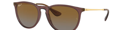 Ray-Ban ERIKA RB4171 6593T5