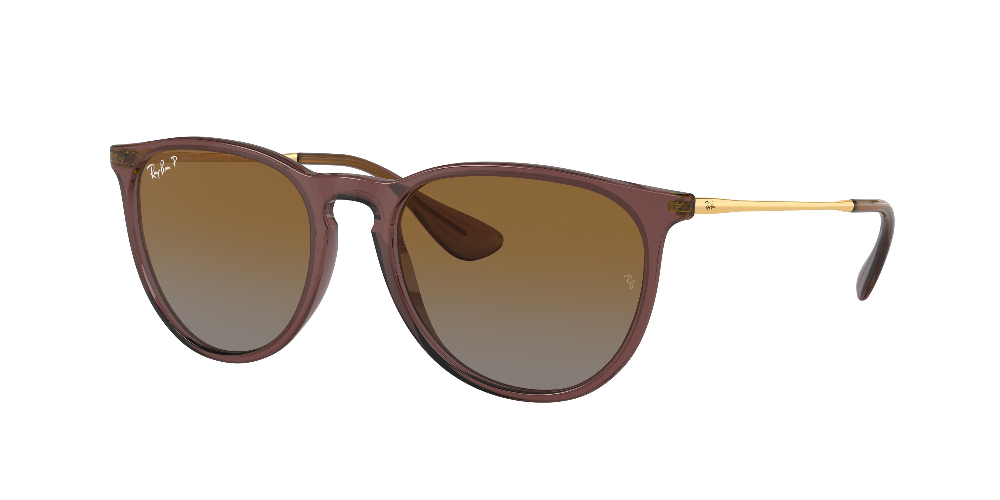 Ray-Ban ERIKA RB4171 6593T5