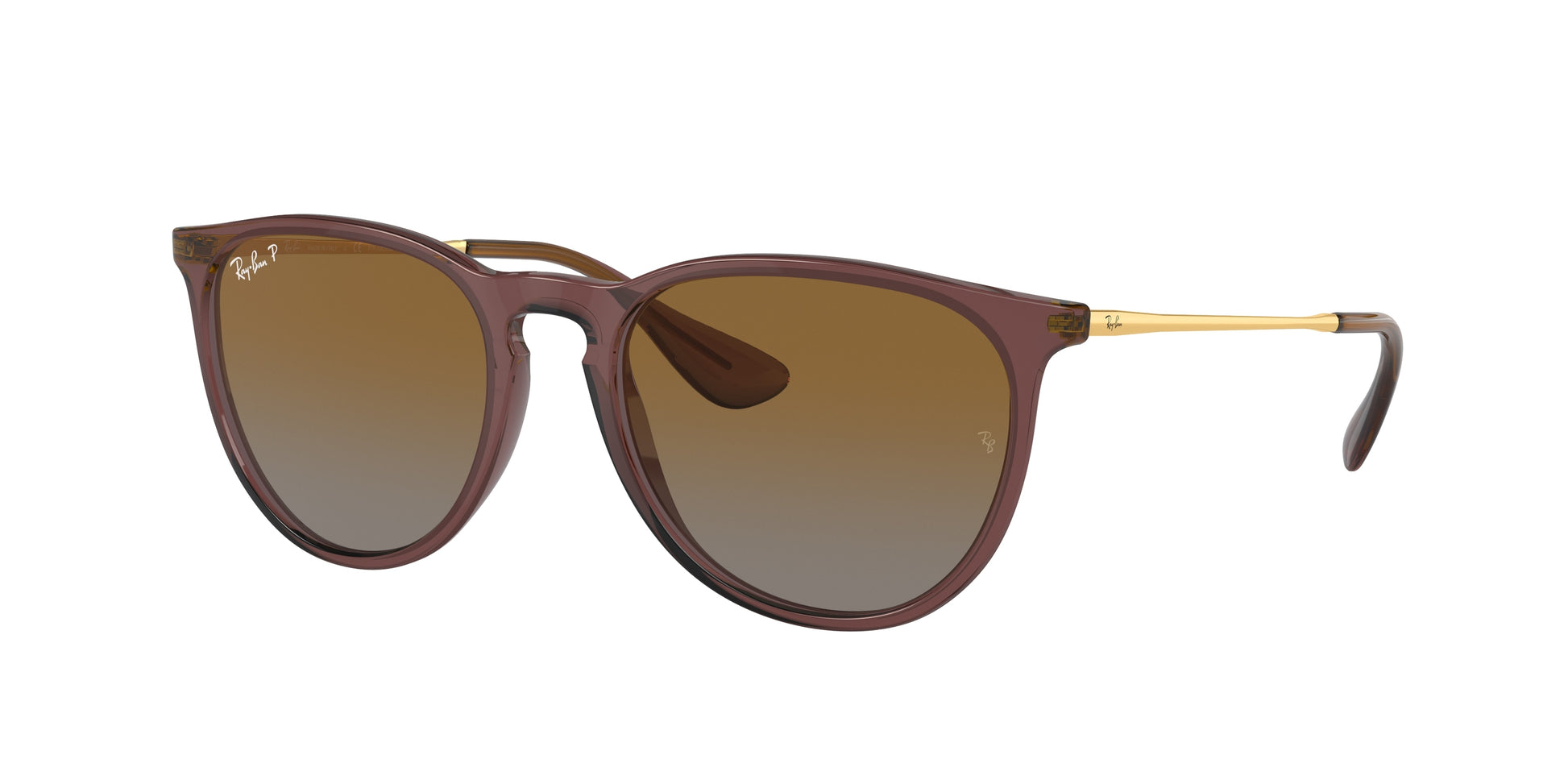 Ray-Ban ERIKA RB4171 6593T5