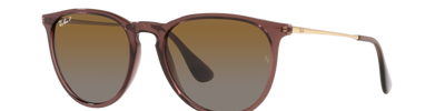 Ray-Ban ERIKA RB4171 6593T5