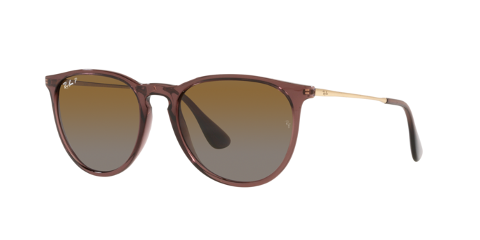 Ray-Ban ERIKA RB4171 6593T5