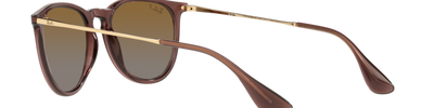 Ray-Ban ERIKA RB4171 6593T5