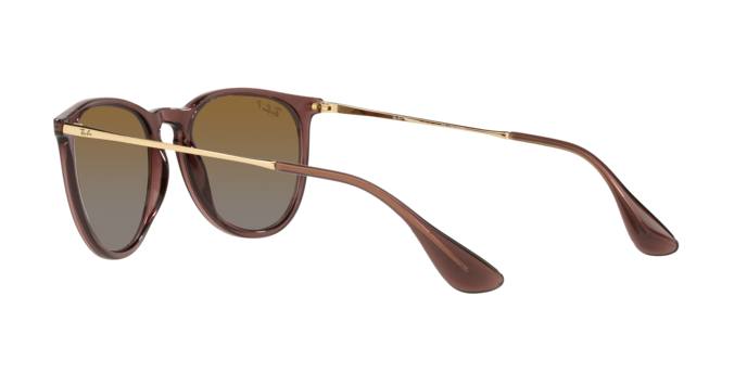 Ray-Ban ERIKA RB4171 6593T5