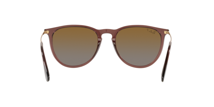 Ray-Ban ERIKA RB4171 6593T5