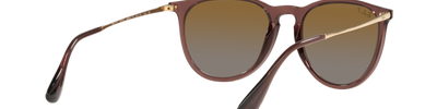 Ray-Ban ERIKA RB4171 6593T5