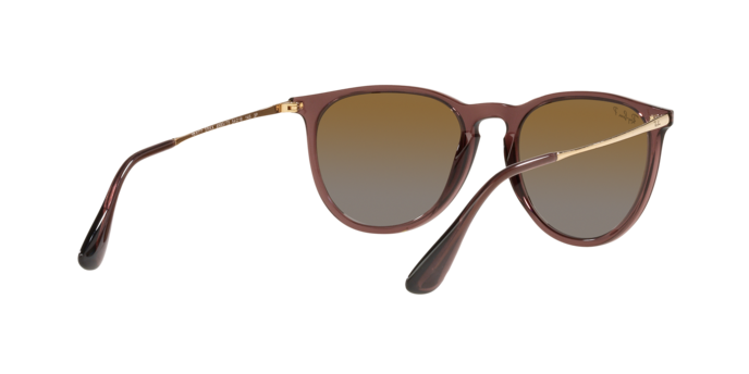 Ray-Ban ERIKA RB4171 6593T5