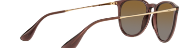 Ray-Ban ERIKA RB4171 6593T5