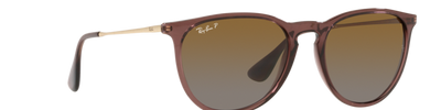 Ray-Ban ERIKA RB4171 6593T5