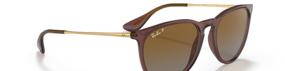 Ray-Ban ERIKA RB4171 6593T5