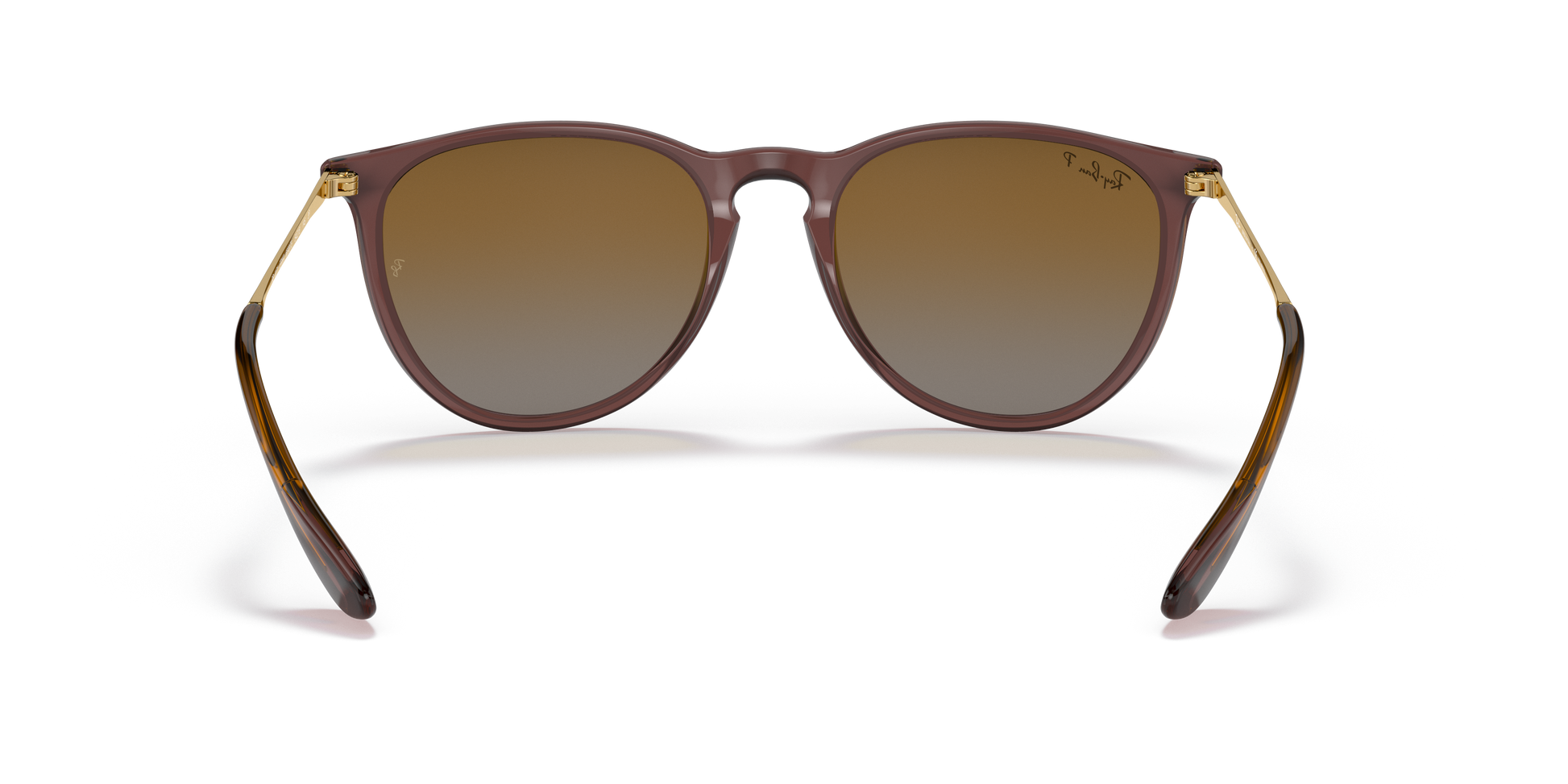 Ray-Ban ERIKA RB4171 6593T5