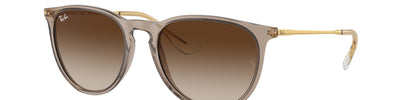 Ray-Ban ERIKA RB4171 674413