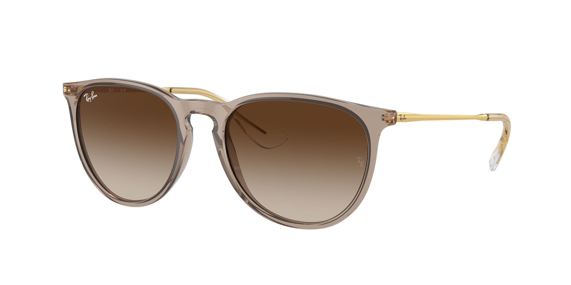 Ray-Ban ERIKA RB4171 674413