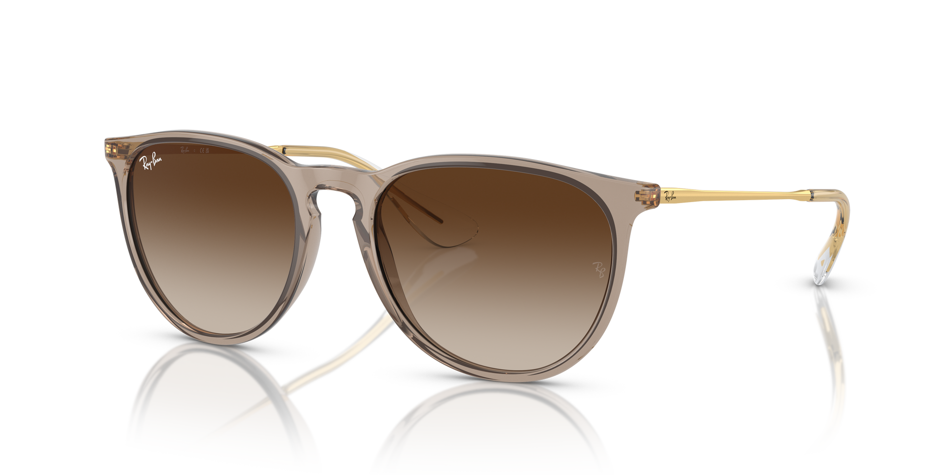 Ray-Ban ERIKA RB4171 674413