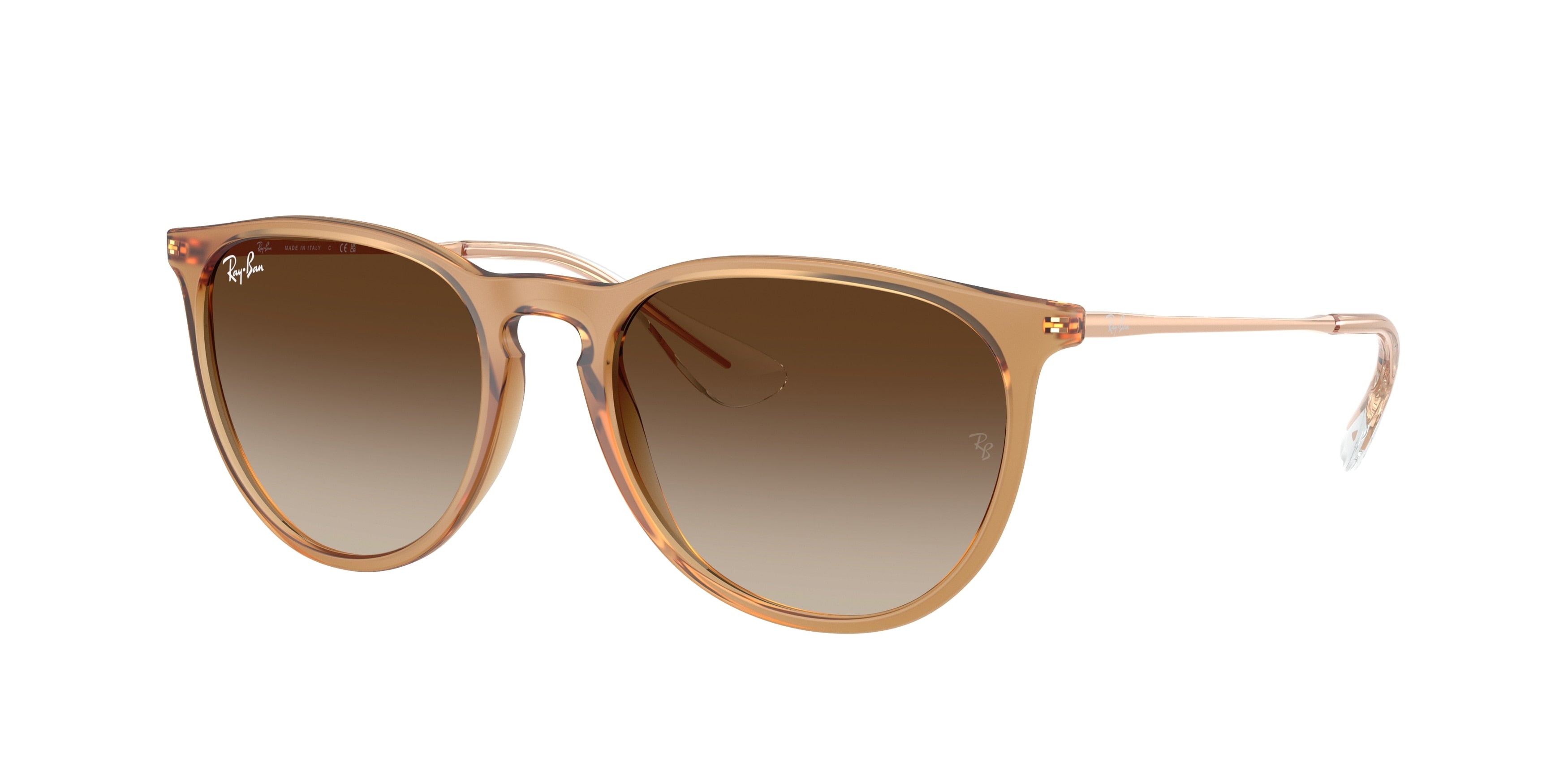 Ray-Ban ERIKA RB4171 681413