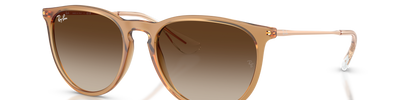 Ray-Ban ERIKA RB4171 681413