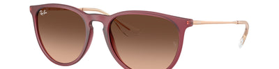 Ray-Ban ERIKA RB4171 6815A5