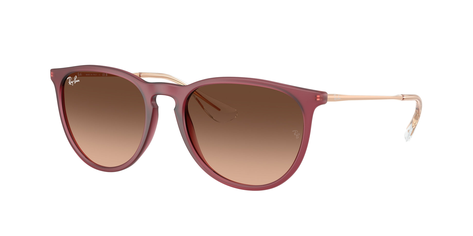 Ray-Ban ERIKA RB4171 6815A5