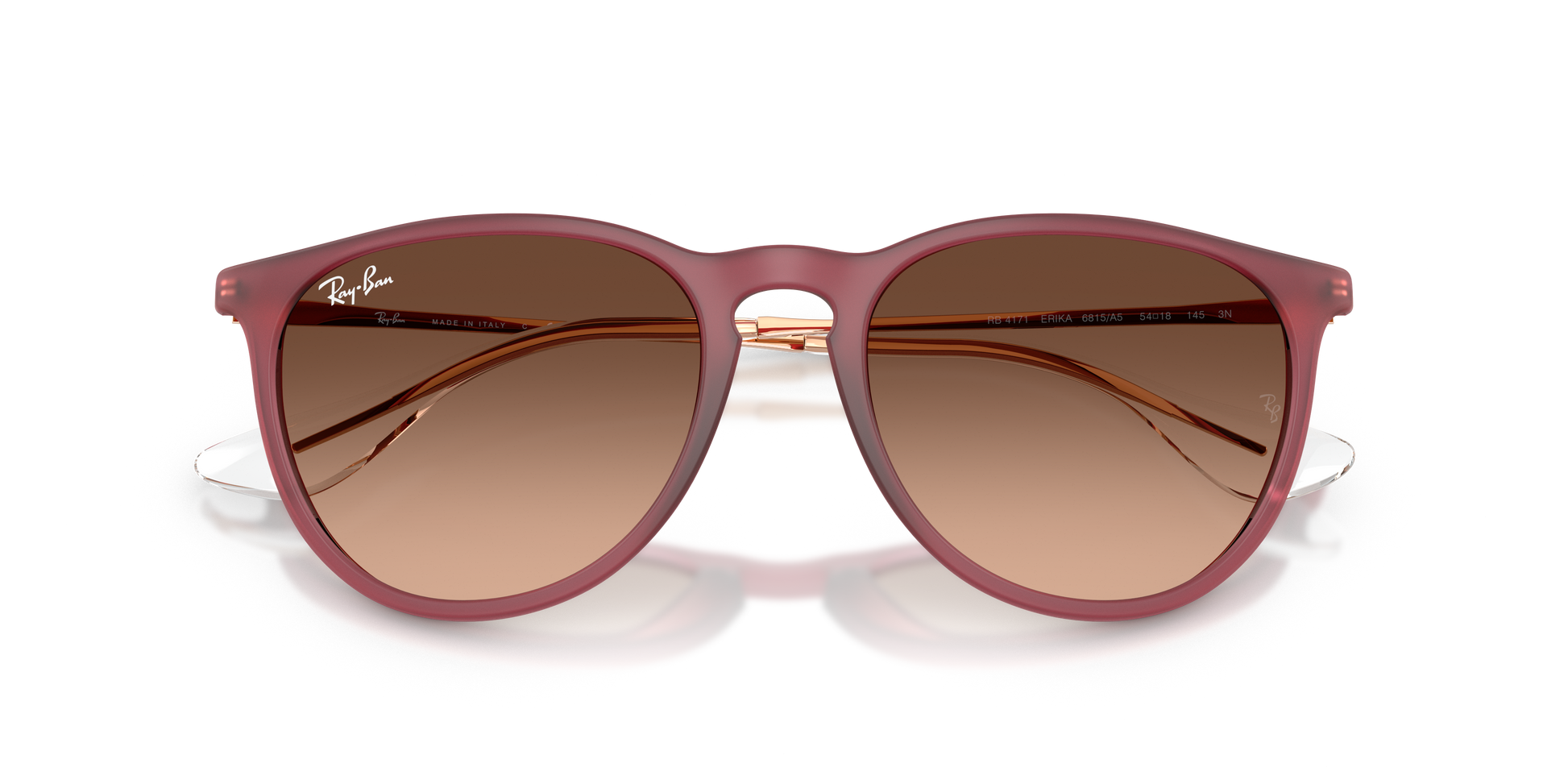 Ray-Ban ERIKA RB4171 6815A5