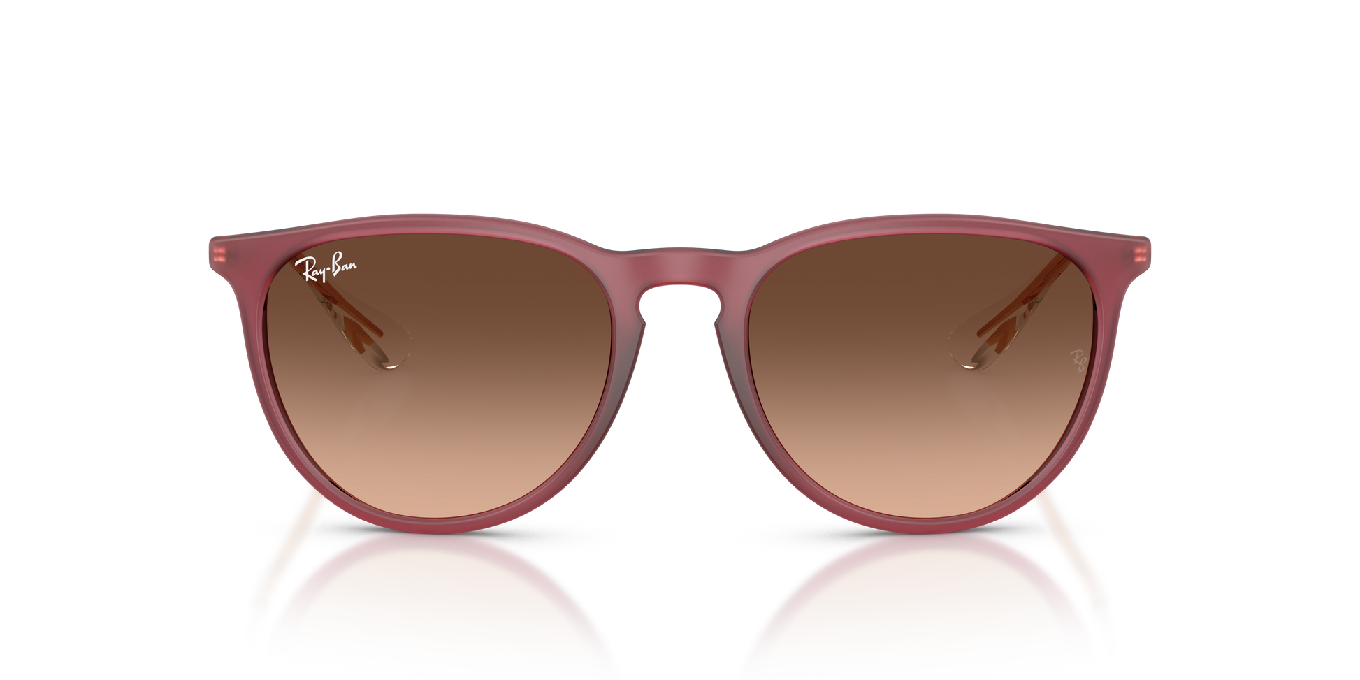 Ray-Ban ERIKA RB4171 6815A5