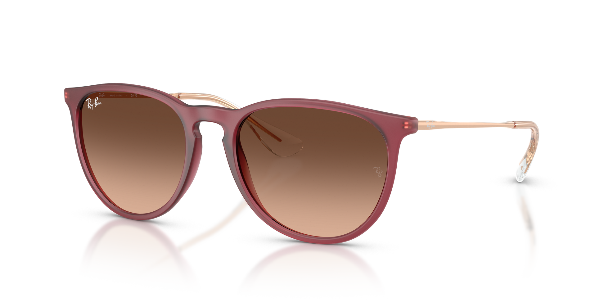 Ray-Ban ERIKA RB4171 6815A5