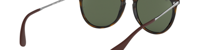 Ray-Ban ERIKA RB4171 710/71