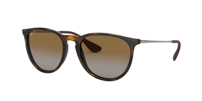 Ray-Ban ERIKA RB4171 710/T5