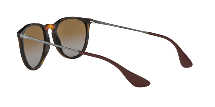 Ray-Ban ERIKA RB4171 710/T5