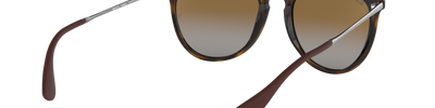 Ray-Ban ERIKA RB4171 710/T5