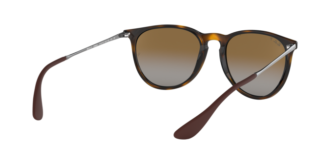 Ray-Ban ERIKA RB4171 710/T5
