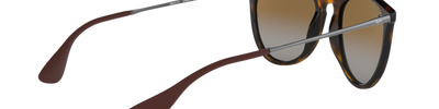 Ray-Ban ERIKA RB4171 710/T5