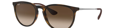 Ray-Ban ERIKA RB4171 865/13