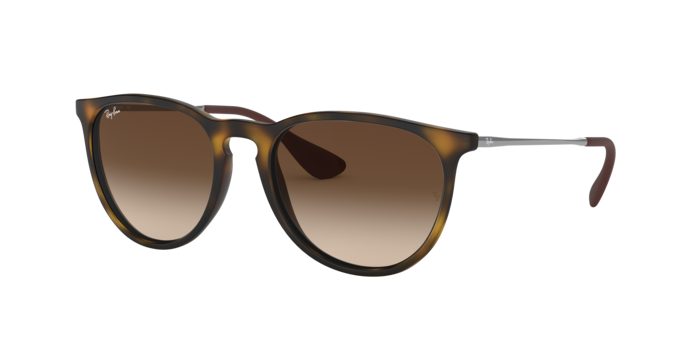 Ray-Ban ERIKA RB4171 865/13