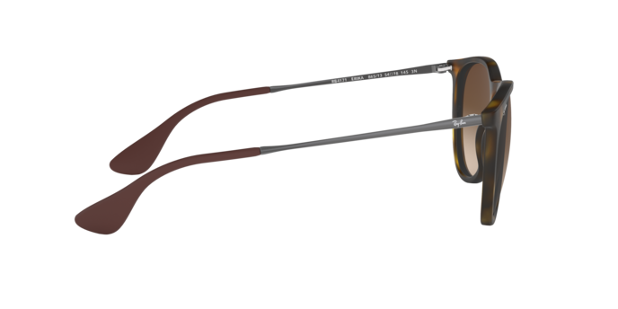 Ray-Ban ERIKA RB4171 865/13