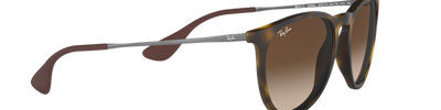 Ray-Ban ERIKA RB4171 865/13