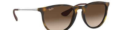 Ray-Ban ERIKA RB4171 865/13