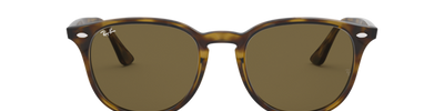 Ray-Ban RB4259 710/73