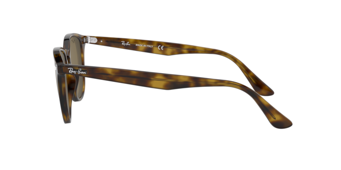 Ray-Ban RB4259 710/73