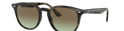 Ray-Ban RB4259 731/E8