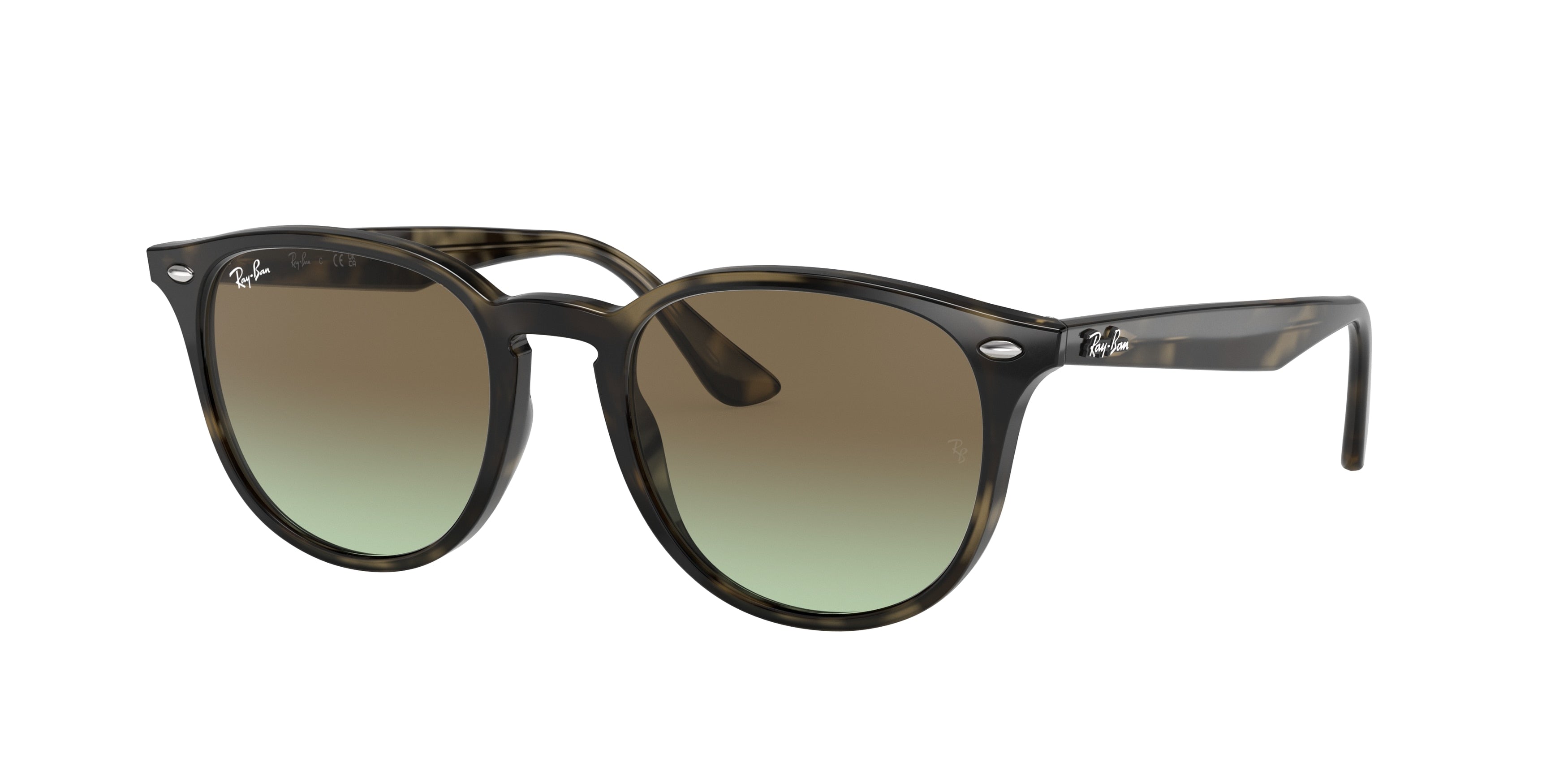 Ray-Ban RB4259 731/E8
