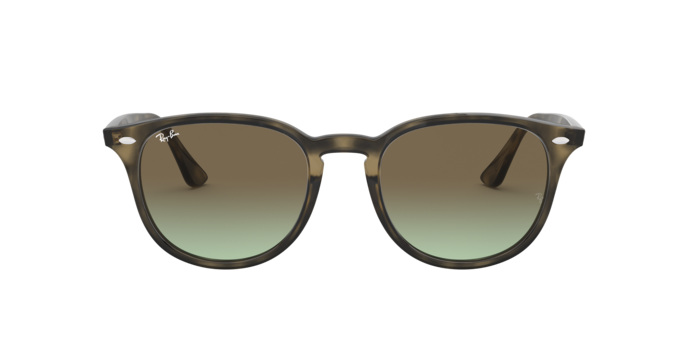 Ray-Ban RB4259 731/E8