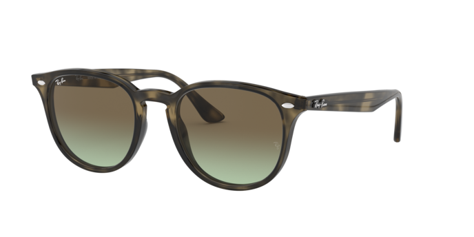 Ray-Ban RB4259 731/E8