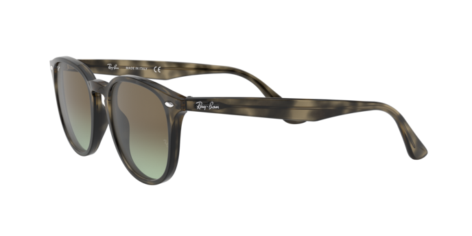 Ray-Ban RB4259 731/E8